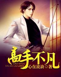 高手不凡全文免费