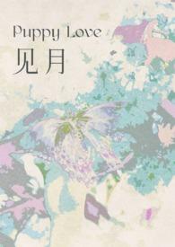 见肿消中草药作用与功效