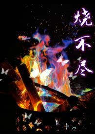 烧不尽商牧枭