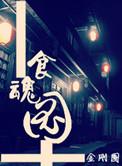 食魂图金刚圈TXT
