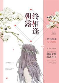 朝露终相逢全文阅读免费