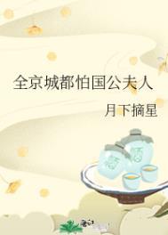 全京城都怕国公夫人24