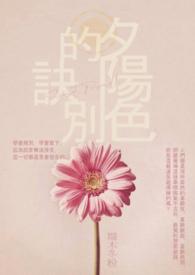 夕阳的色彩
