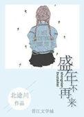 盛年不再来番外
