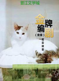 金牌编剧秦雯简介