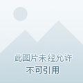 全民领主我的亡灵骷髅亿亿万凌云