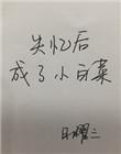失忆后成了小白菜免费