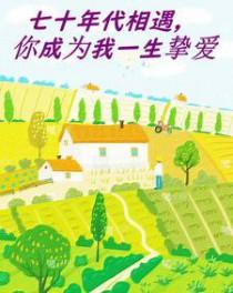 七十年代携手一生全文阅读
