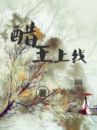 醋王上线十四