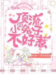 顶流小傻龟