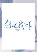 段嘉衍终身标记扩写过程