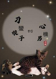 刁蛮新娘分集