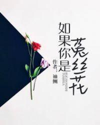 如果你是菟丝花全文阅读