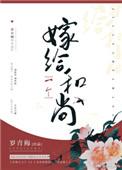嫁给一个和尚电视剧叫什么