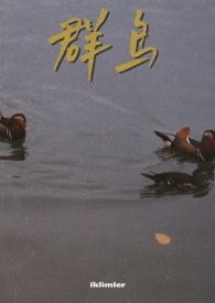 群鸟学艺的故事在线听