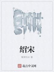 绍宋奇书