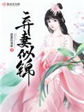 弃妻似锦免费阅读全文