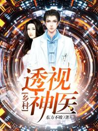 乡村透视小神医简介