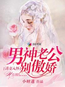 诱妻入怀男神老公别傲娇