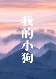 我的小狗不小