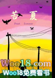 苦夏骨科全文阅读
