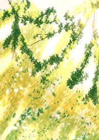 阴暗普女但第三者完结