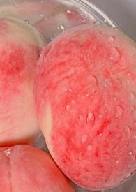 白桃父女h最新章节列