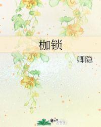 枷锁和盛筵之间