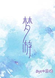 梦游全过程