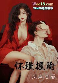 怀瑾握瑜晋江