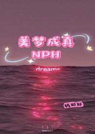 美梦成真目录