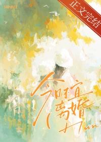 今日不宜离婚TXT