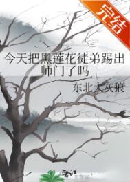 黑莲花今天洗白了吗全文免费阅读