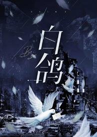 白鸽全文免费阅读