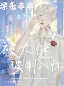 漂亮乖乖失忆后被大佬强制入怀了