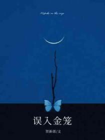 误入龙宫