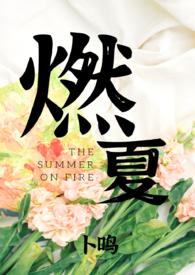 主角叫夏燃的