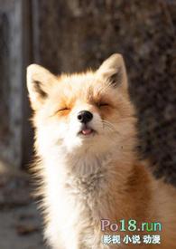 睡了反派男二之后(1v1)/岭南困了么漫画