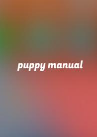 小狗捕食的动作的视频