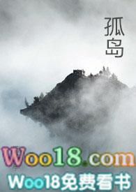 孤岛类型