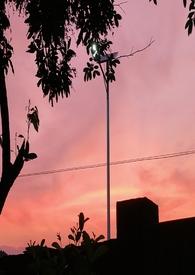 乖宠全文无删减