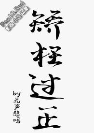 矫枉过正txt