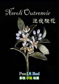 迷夜是什么意思