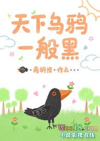 天下乌鸦一般黑准确生肖