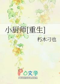 小厨师做饭