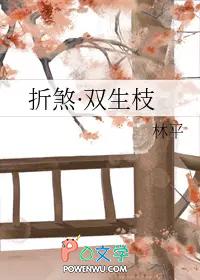 双生是什么意思