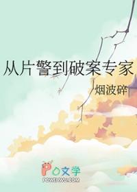 从片警到破案专家txt