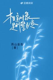 相亲对象是刑警队长免费阅读