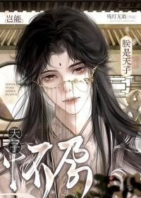 朕是天子岂能怀孕by残灯无焰完整版