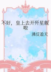 不好皇上去开歼星舰啦叫什么名187